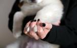 Paw print design