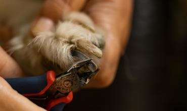 Cutting tools