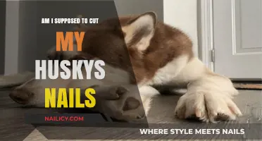 How to Care for Your Husky's Nails