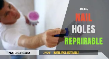 Can Every Nail Hole Be Fixed? Repair Tips and Tricks