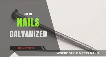 Are All Nails Galvanized? Understanding Types and Uses in Construction