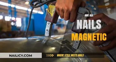 Are All Nails Magnetic? Unveiling the Truth Behind Metal Attraction