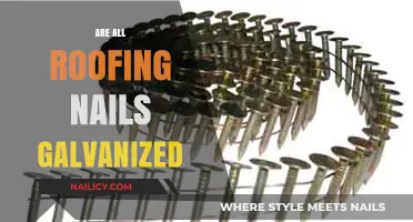 Are All Roofing Nails Galvanized? Essential Facts for Homeowners