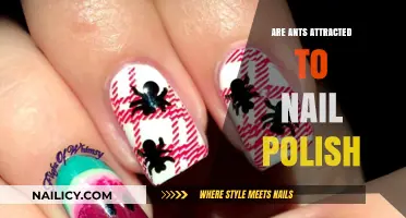 Do Ants Like Nail Polish? Uncovering the Surprising Truth