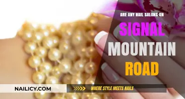 Exploring Signal Mountain Road: Are There Any Nail Salons Nearby?