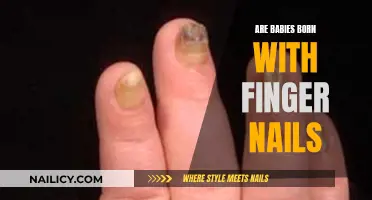 The Surprising Birth of Finger Nails: Unveiling Nature's Wonders