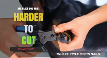 How to Safely Trim Black Dog Nails