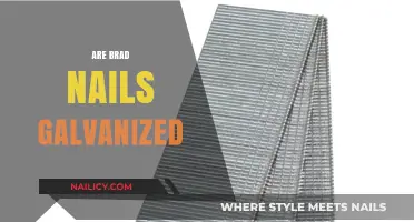 Are Brad Nails Galvanized? Understanding Rust Resistance in Fasteners