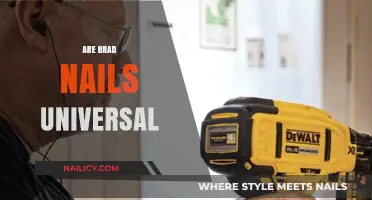 Are Brad Nails Universal? Compatibility and Uses Explained
