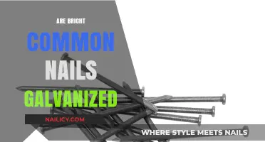 Are Bright Common Nails Galvanized? Understanding Their Coating and Uses