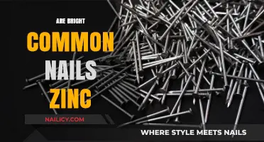 Bright Common Nails: Zinc Coating Explained and Its Benefits