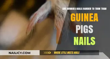Trimming Nails: Bunnies vs. Guinea Pigs