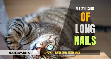 Why Do Long Nails Frighten Cats?