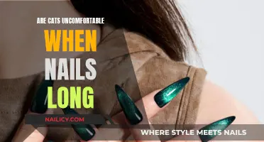 Cats' Long Nails: Uncomfortable or Not?