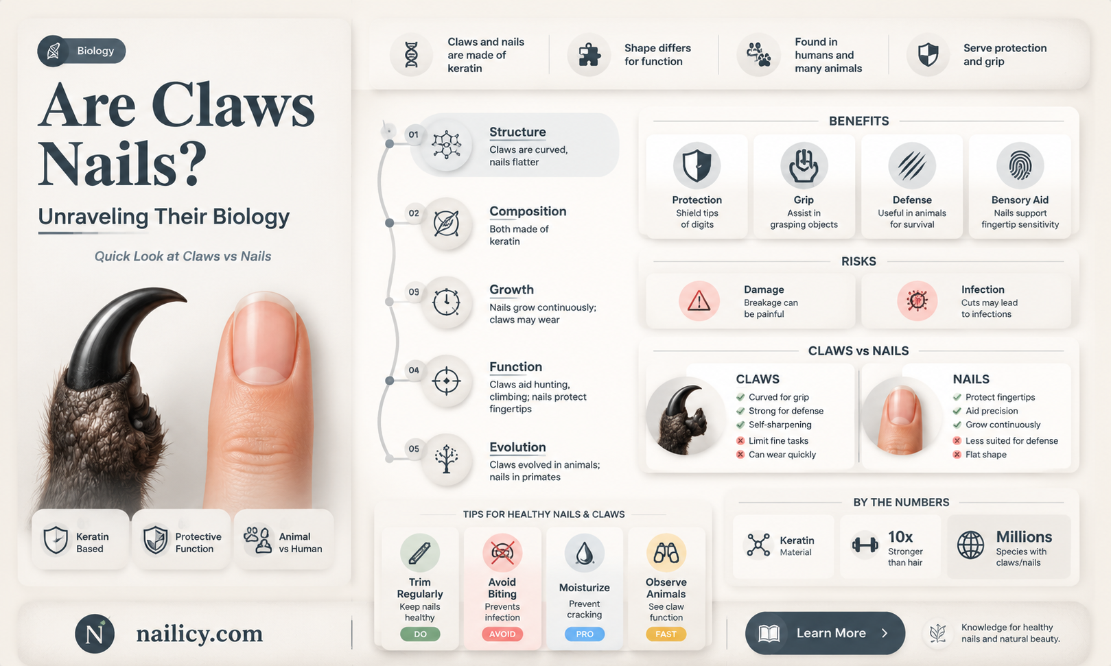 are claws considered nails