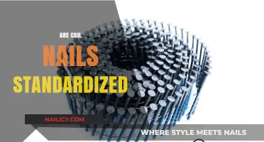 Are Coil Nails Standardized? Exploring Sizes, Types, and Industry Standards