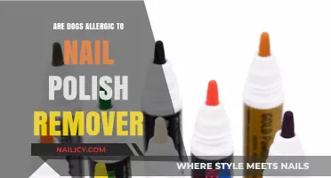 Nail Polish Remover: A Dog Allergen?