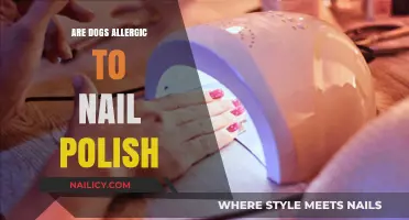Can Nail Polish Harm Dogs? Understanding Pet Allergies and Safety