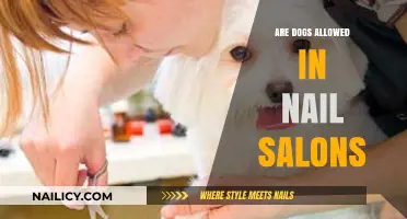 Can Dogs Accompany You to Nail Salons? Pet-Friendly Policies Explained