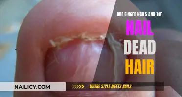 Are Your Nails Dead Hair? Uncover the Truth!