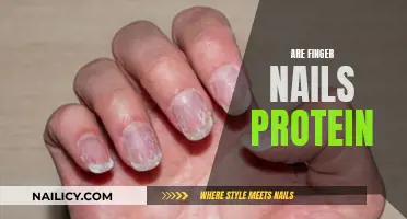 Uncover the Protein Mystery: Are Your Nails Made of It?