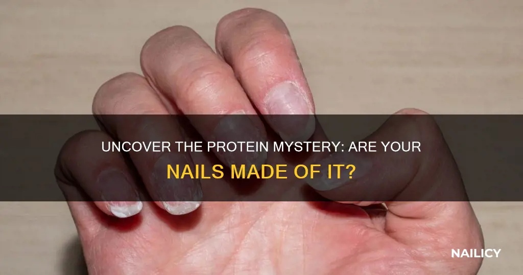 are finger nails protein