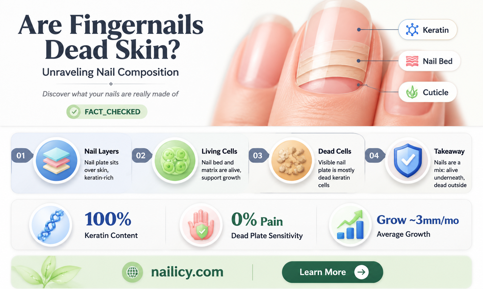 are fingernails dead skin