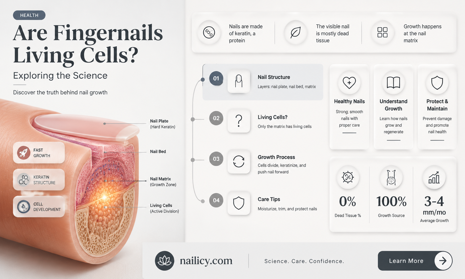 are finger nails cellls