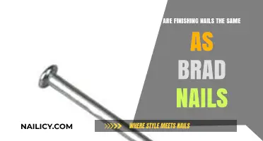 Finishing Nails vs. Brad Nails: Understanding the Key Differences
