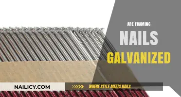 Are Framing Nails Galvanized? Understanding Rust Resistance in Construction