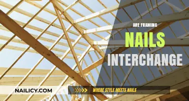 Can Framing Nails Be Swapped? Interchangeability Explained for DIYers
