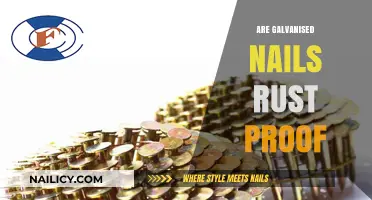 Are Galvanized Nails Truly Rust-Proof? Uncovering the Facts