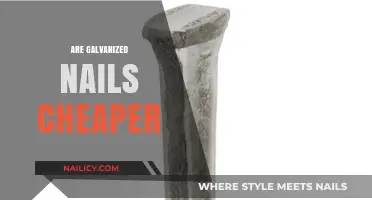 Galvanized Nails vs. Alternatives: Cost Comparison and Budget-Friendly Choice