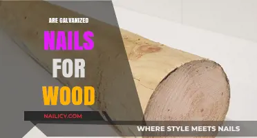 Galvanized Nails for Wood: Benefits, Uses, and Durability Explained