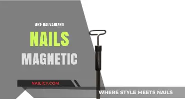Are Galvanized Nails Magnetic? Unveiling the Truth Behind Metal Fasteners