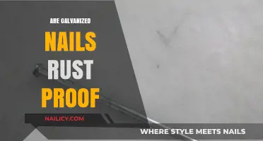 Do Galvanized Nails Resist Rust? A Comprehensive Durability Analysis