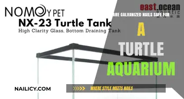 Galvanized Nails in Turtle Aquariums: Safe or Harmful Choice?