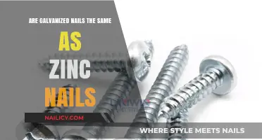 Galvanized vs. Zinc Nails: Understanding the Differences and Best Uses
