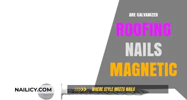Are Galvanized Roofing Nails Magnetic? Unveiling the Truth Behind Metal Fasteners