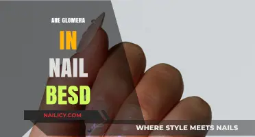 Are Glomera in Nail Beds a Myth or Reality?