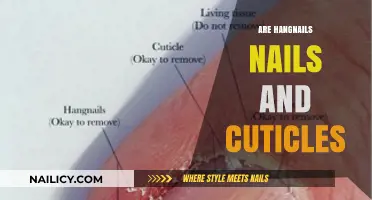 Hangnails Explained: Understanding the Connection Between Nails and Cuticles