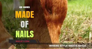 Hooves vs. Nails: Unraveling the Surprising Composition of Animal Feet