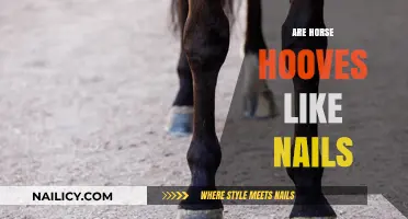 Are Horse Hooves Like Nails? Unraveling Equine Anatomy Myths