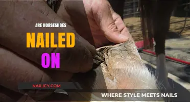 Are Horseshoes Nailed On? Unveiling the Truth Behind Equine Footwear