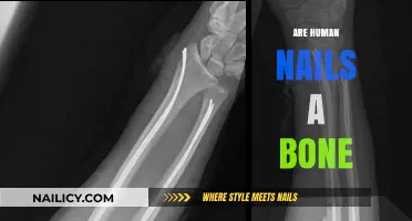 Are Human Nails Bone? Unraveling the Truth Behind the Myth