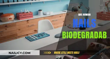 Are Human Nails Eco-Friendly? Exploring Their Biodegradability and Impact