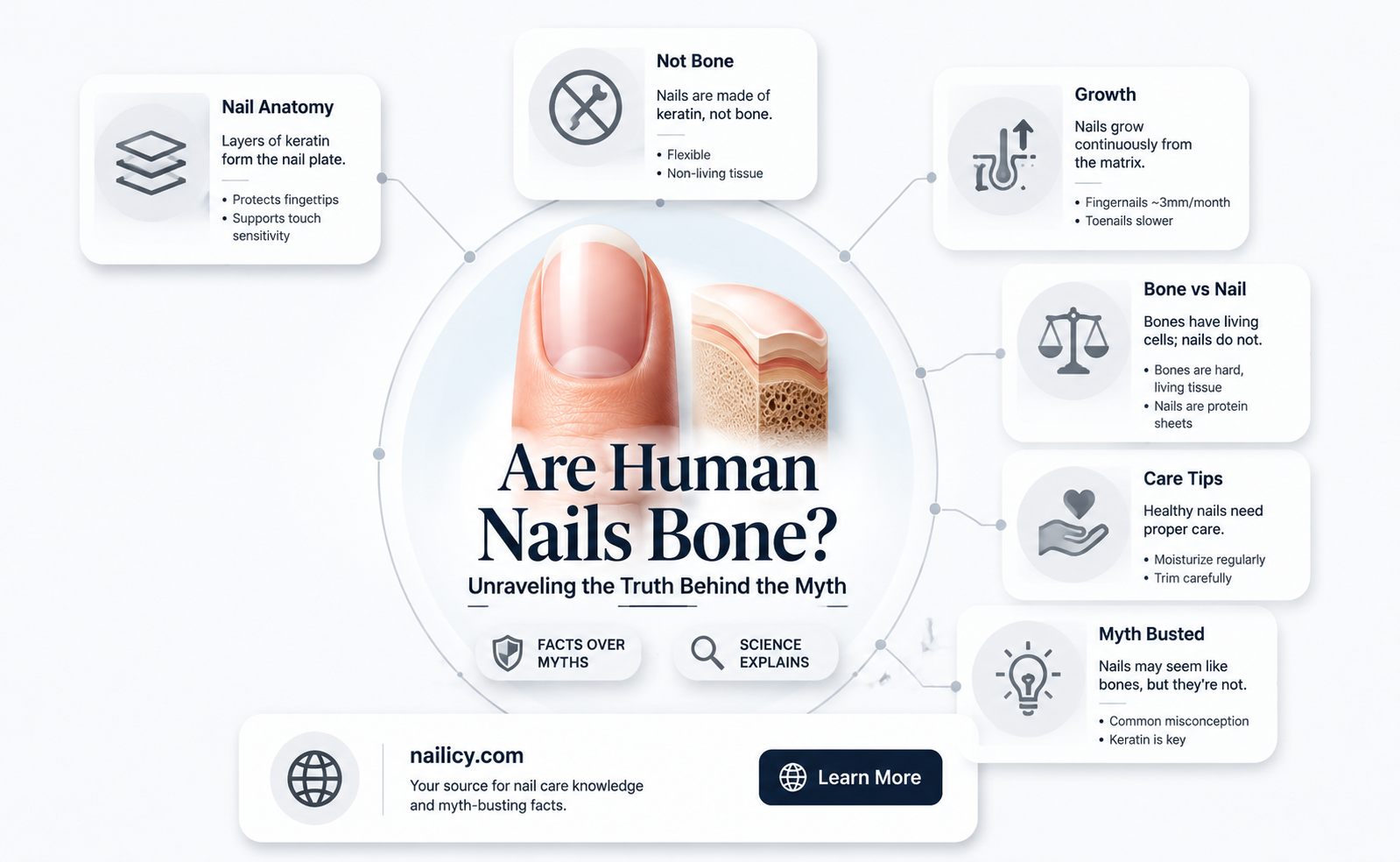 are human nails a bone