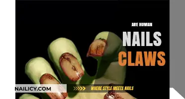 Are Human Nails Claws? Unraveling the Evolutionary Connection