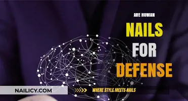 Human Nails: Defensive Tools or Just for Grooming?