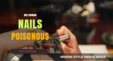 Are Human Nails Poisonous? Uncovering the Truth Behind the Myth